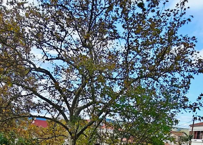 Appartement Mountain View Kalavryta